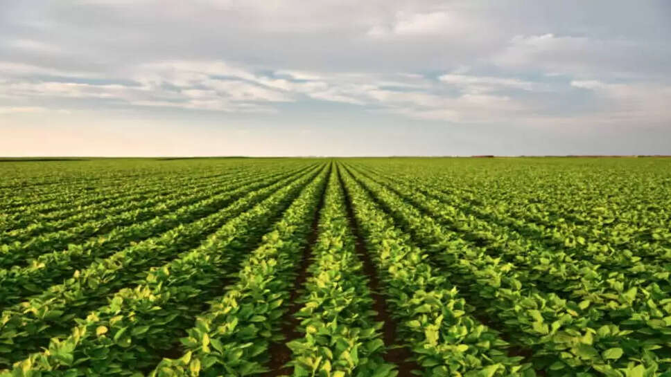 Crops news