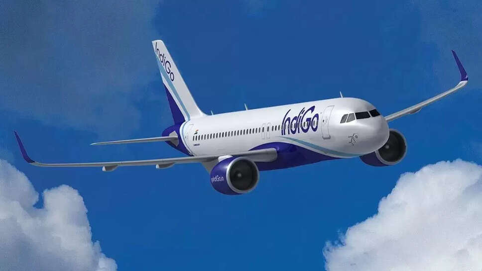 indigo flight ticket