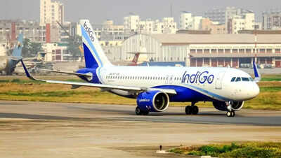 Indigo flightts