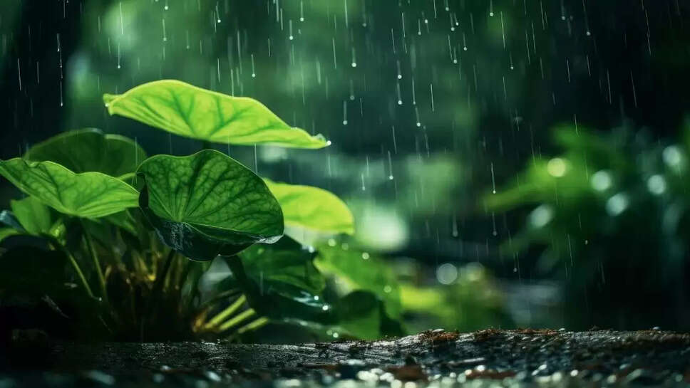 Rainfall alert