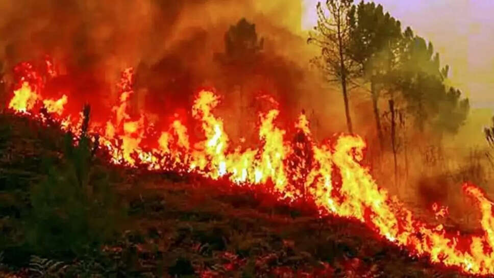 Massive fire in haryana
