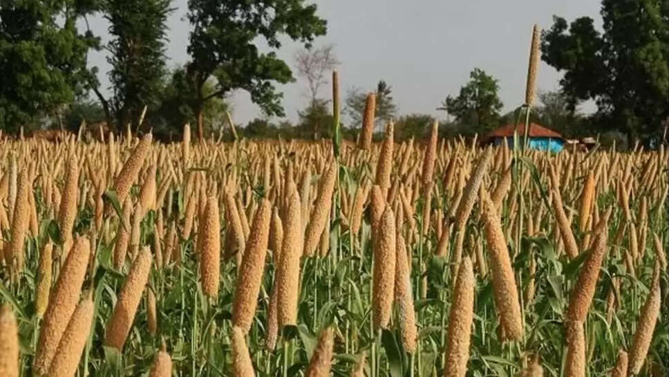 Crop sell start