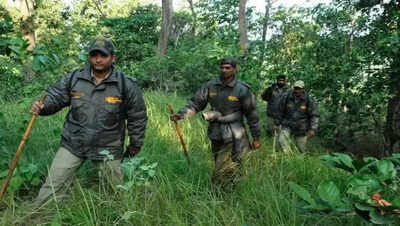 Forest departments